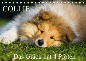 Collie – Das Glück hat 4 Pfoten (Tischkalender 2022 DIN A5 quer) von Starick,  Sigrid