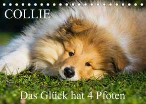 Collie – Das Glück hat 4 Pfoten (Tischkalender 2023 DIN A5 quer) von Starick,  Sigrid