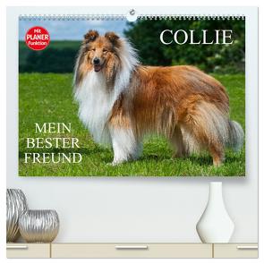 Collie – Mein bester Freund (hochwertiger Premium Wandkalender 2024 DIN A2 quer), Kunstdruck in Hochglanz von Starick,  Sigrid