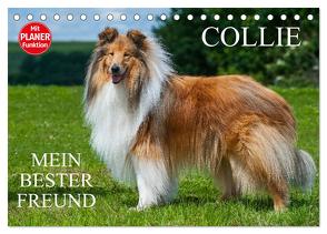 Collie – Mein bester Freund (Tischkalender 2024 DIN A5 quer), CALVENDO Monatskalender von Starick,  Sigrid