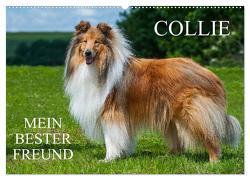 Collie – Mein bester Freund (Wandkalender 2024 DIN A2 quer), CALVENDO Monatskalender von Starick,  Sigrid