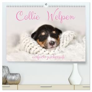 Collie Welpen einfach zuckersüß (hochwertiger Premium Wandkalender 2024 DIN A2 quer), Kunstdruck in Hochglanz von Janetzek,  Yvonne