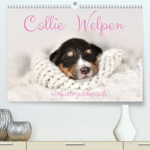 Collie Welpen einfach zuckersüß (Premium, hochwertiger DIN A2 Wandkalender 2023, Kunstdruck in Hochglanz) von Janetzek,  Yvonne