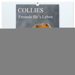 Collies – Freunde für´s Leben (hochwertiger Premium Wandkalender 2024 DIN A2 hoch), Kunstdruck in Hochglanz von Starick,  Sigrid