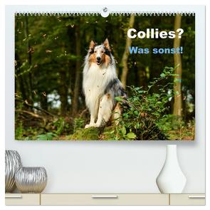 Collies? Was sonst! (hochwertiger Premium Wandkalender 2024 DIN A2 quer), Kunstdruck in Hochglanz von Janetzek,  Yvonne