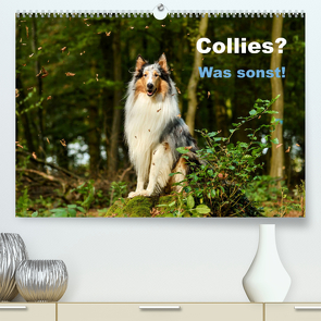 Collies? Was sonst! (Premium, hochwertiger DIN A2 Wandkalender 2023, Kunstdruck in Hochglanz) von Janetzek,  Yvonne