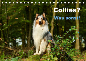 Collies? Was sonst! (Tischkalender 2023 DIN A5 quer) von Janetzek,  Yvonne