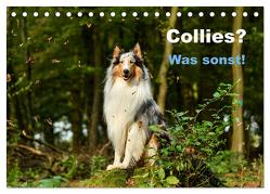 Collies? Was sonst! (Tischkalender 2024 DIN A5 quer), CALVENDO Monatskalender von Janetzek,  Yvonne