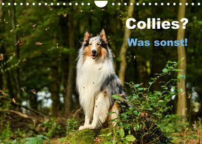 Collies? Was sonst! (Wandkalender 2023 DIN A4 quer) von Janetzek,  Yvonne