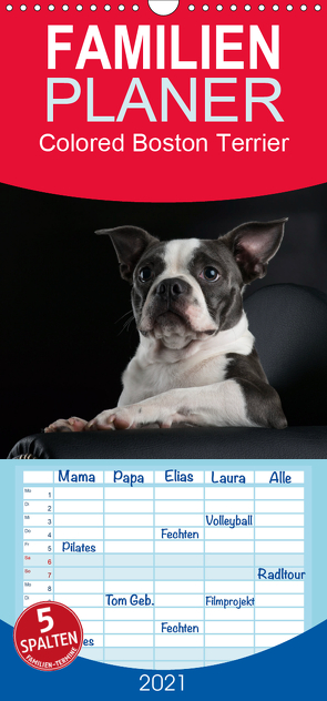 Colored Boston Terrier 2021 – Familienplaner hoch (Wandkalender 2021 , 21 cm x 45 cm, hoch) von Kassat Fotografie,  Nicola