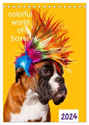 colorful world of boxer 2024 (Tischkalender 2024 DIN A5 hoch), CALVENDO Monatskalender von Mielke,  Kerstin