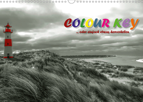 Colour Key …oder einfach etwas hervorgehoben (Wandkalender 2020 DIN A3 quer) von N.,  N.