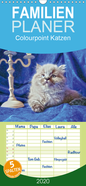 Colourpoint Katzen – Familienplaner hoch (Wandkalender 2020 , 21 cm x 45 cm, hoch) von Säume,  Sylvia