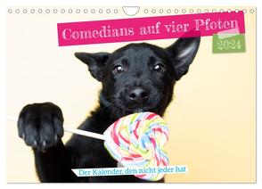 Comedians auf vier Pfoten – Der Kalender, den nicht jeder hat (Wandkalender 2024 DIN A4 quer), CALVENDO Monatskalender von Bellyeu,  Katrin