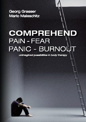 Comprehend Pain-Fear-Panic-Burnout von Maleschitz,  Mario und Georg Grasser