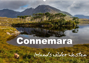 Connemara – Irlands wilder Westen (Wandkalender 2023 DIN A2 quer) von BÖHME,  Ferry