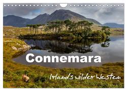 Connemara – Irlands wilder Westen (Wandkalender 2024 DIN A4 quer), CALVENDO Monatskalender von BÖHME,  Ferry