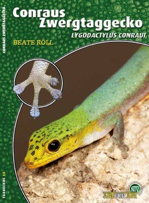 Conraus Zwergtaggecko von Röll,  Beate