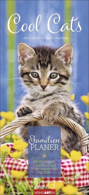 Cool Cats Familienplaner 2023. Großer Foto-Terminkalender mit 5 Spalten für Familien. Schöner Familien-Wandkalender 2023 mit süßen Katzen-Fotos. 22×48 cm von Hubert,  Marie-Luce, Klein,  Jean-Louis