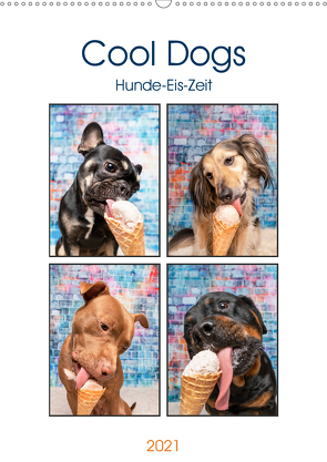 Cool Dogs – Hunde-Eis-Zeit (Wandkalender 2021 DIN A2 hoch) von Teßen,  Sonja