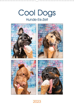 Cool Dogs – Hunde-Eis-Zeit (Wandkalender 2023 DIN A2 hoch) von Teßen,  Sonja