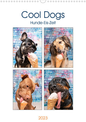 Cool Dogs – Hunde-Eis-Zeit (Wandkalender 2023 DIN A3 hoch) von Teßen,  Sonja