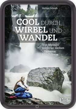 Cool durch Wirbel und Wandel von Schreib,  Herbert