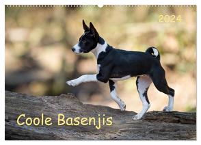 Coole Basenjis (Wandkalender 2024 DIN A2 quer), CALVENDO Monatskalender von Joswig,  Angelika