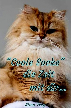 “Coole Socke“ die Zeit mit dir von Frey,  Alina