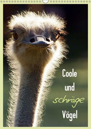 Coole und schräge Vögel (Wandkalender 2019 DIN A3 hoch) von Enkemeier,  Sigrid