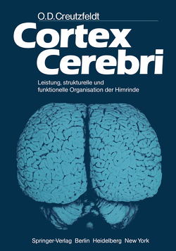 Cortex Cerebri von Creutzfeldt,  O. D.