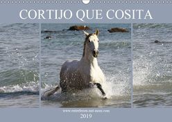 CORTIJO QUE COSITA (Wandkalender 2019 DIN A3 quer) von Eckerl Tierfotografie,  Petra