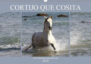 CORTIJO QUE COSITA (Wandkalender 2019 DIN A3 quer) von Eckerl Tierfotografie,  Petra