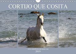 CORTIJO QUE COSITA (Wandkalender 2019 DIN A4 quer) von Eckerl Tierfotografie,  Petra