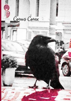 Corvus Corax von Radtke,  Torsten