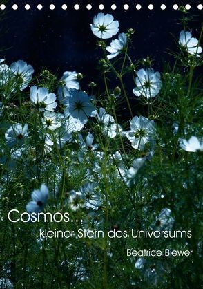 Cosmos… kleiner Stern des Universums (Tischkalender 2018 DIN A5 hoch) von Biewer,  Beatrice