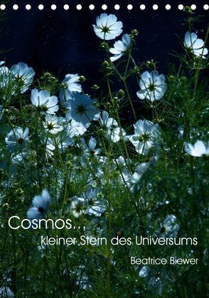 Cosmos… kleiner Stern des Universums (Tischkalender 2019 DIN A5 hoch) von Biewer,  Beatrice