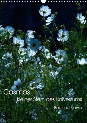 Cosmos… kleiner Stern des Universums (Wandkalender 2018 DIN A3 hoch) von Biewer,  Beatrice