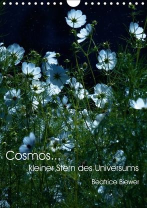 Cosmos… kleiner Stern des Universums (Wandkalender 2018 DIN A4 hoch) von Biewer,  Beatrice