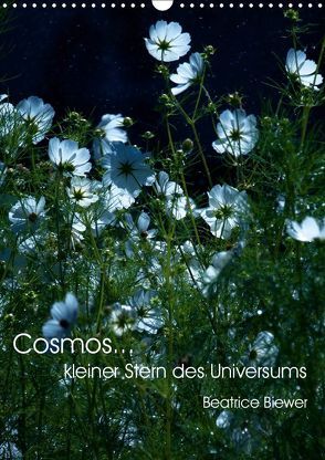 Cosmos… kleiner Stern des Universums (Wandkalender 2019 DIN A3 hoch) von Biewer,  Beatrice