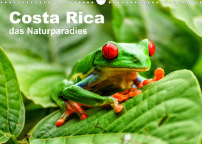 Costa Rica – das Naturparadies (Wandkalender 2023 DIN A3 quer) von Nowak,  Oliver