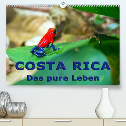 Costa Rica – das pure Leben (Premium, hochwertiger DIN A2 Wandkalender 2023, Kunstdruck in Hochglanz) von Berlin, Schoen,  Andreas