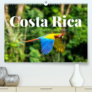 Costa Rica – exotische Tierwelt und unberührte Natur (hochwertiger Premium Wandkalender 2024 DIN A2 quer), Kunstdruck in Hochglanz von Monkey,  Happy