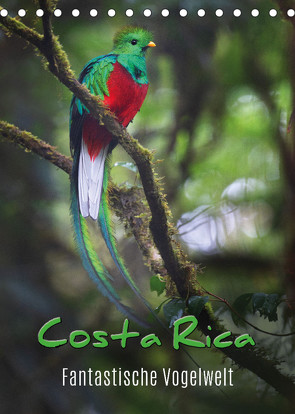 Costa Rica – Fantastische Vogelwelt (Tischkalender 2022 DIN A5 hoch) von Eßer,  Kevin