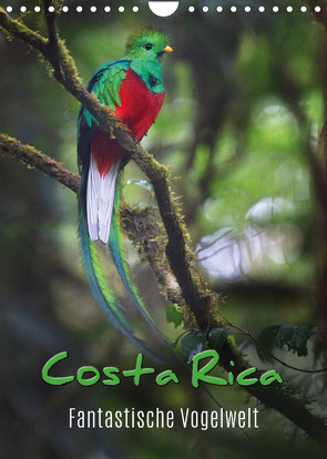 Costa Rica – Fantastische Vogelwelt (Wandkalender 2022 DIN A4 hoch) von Eßer,  Kevin