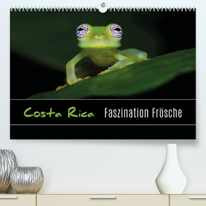 Costa Rica – Faszination Frösche (Premium, hochwertiger DIN A2 Wandkalender 2023, Kunstdruck in Hochglanz) von Eßer,  Kevin