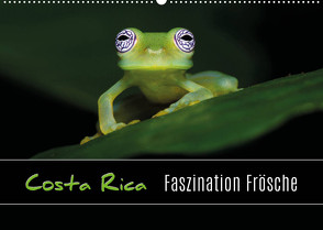 Costa Rica – Faszination Frösche (Wandkalender 2023 DIN A2 quer) von Eßer,  Kevin