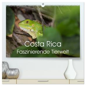 Costa Rica. Faszinierende Tierwelt (hochwertiger Premium Wandkalender 2024 DIN A2 quer), Kunstdruck in Hochglanz von Gerber,  Thomas