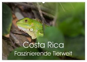 Costa Rica. Faszinierende Tierwelt (Wandkalender 2024 DIN A2 quer), CALVENDO Monatskalender von Gerber,  Thomas