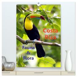 Costa Rica – Fauna & Flora (hochwertiger Premium Wandkalender 2024 DIN A2 hoch), Kunstdruck in Hochglanz von Stamm,  Dirk